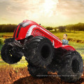 DWI Dowellin 1:10 RC Buggy Car Off-Road Trucks RC Tractors for Sale